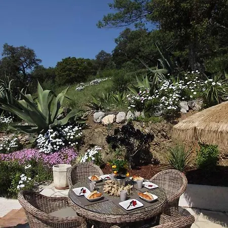 Tricoli Avec Piscine Les Issambres