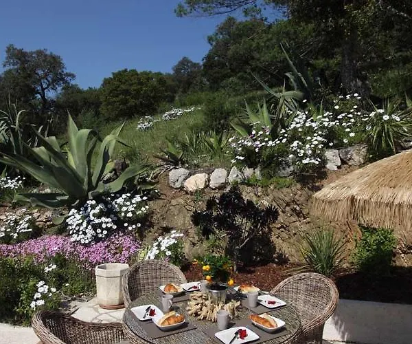 Tricoli Avec Piscine Les Issambres