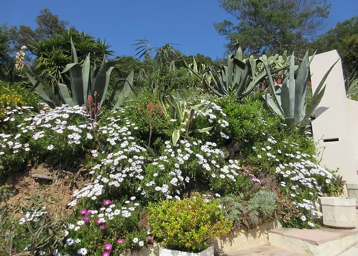 Tricoli Avec Piscine 5*
